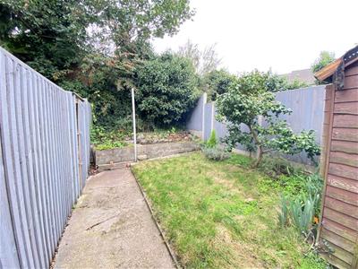 Picture 11